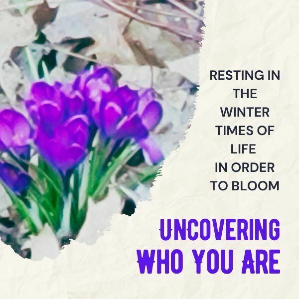 Resting in the winter times of life in order to bloom