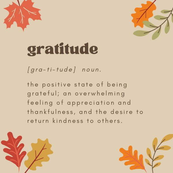 gratitude noun
the positive state of being grateful; an overwhelming feeling of appreciation and thankfulness, and the desire to return kindness to others.