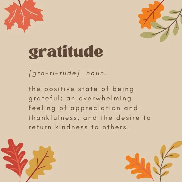 gratitude noun
the positive state of being grateful; an overwhelming feeling of appreciation and thankfulness, and the desire to return kindness to others.